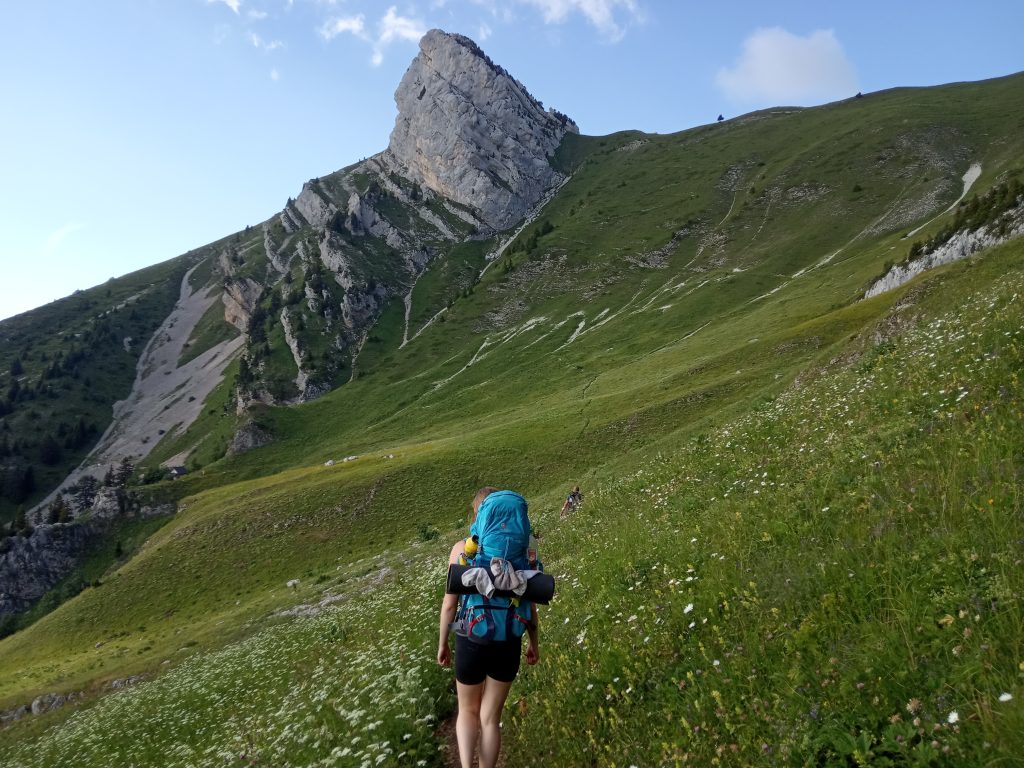 Chartreuse_Blog4