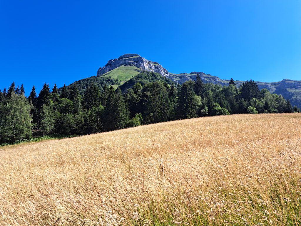 BaugesBlog2