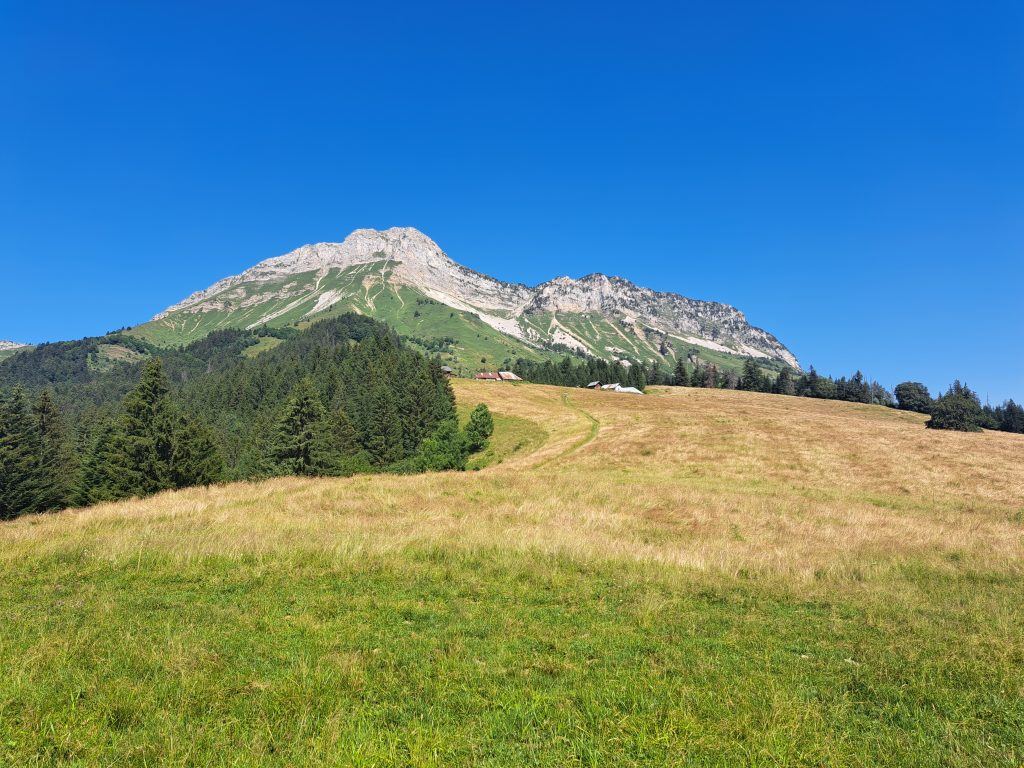 BaugesBlog6