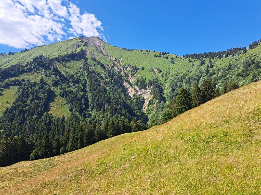 BaugesBlog8