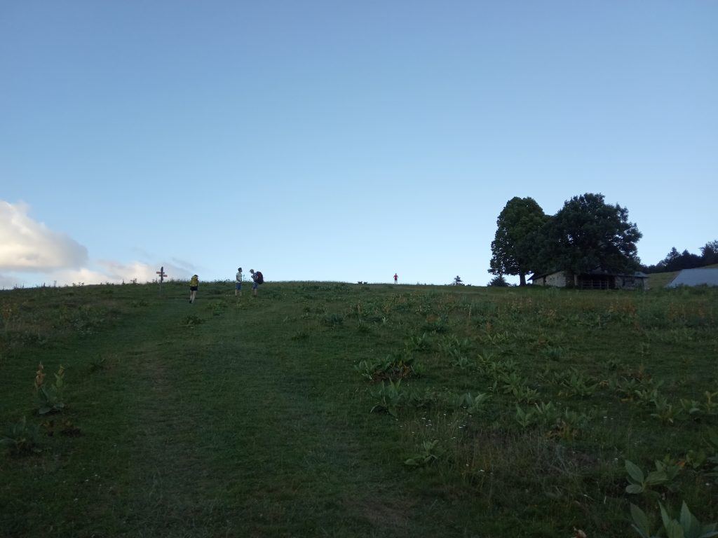 Chartreuse_Blog2