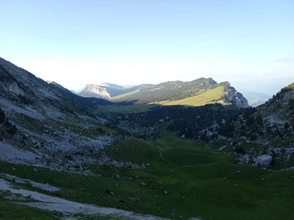 Chartreuse_Blog5