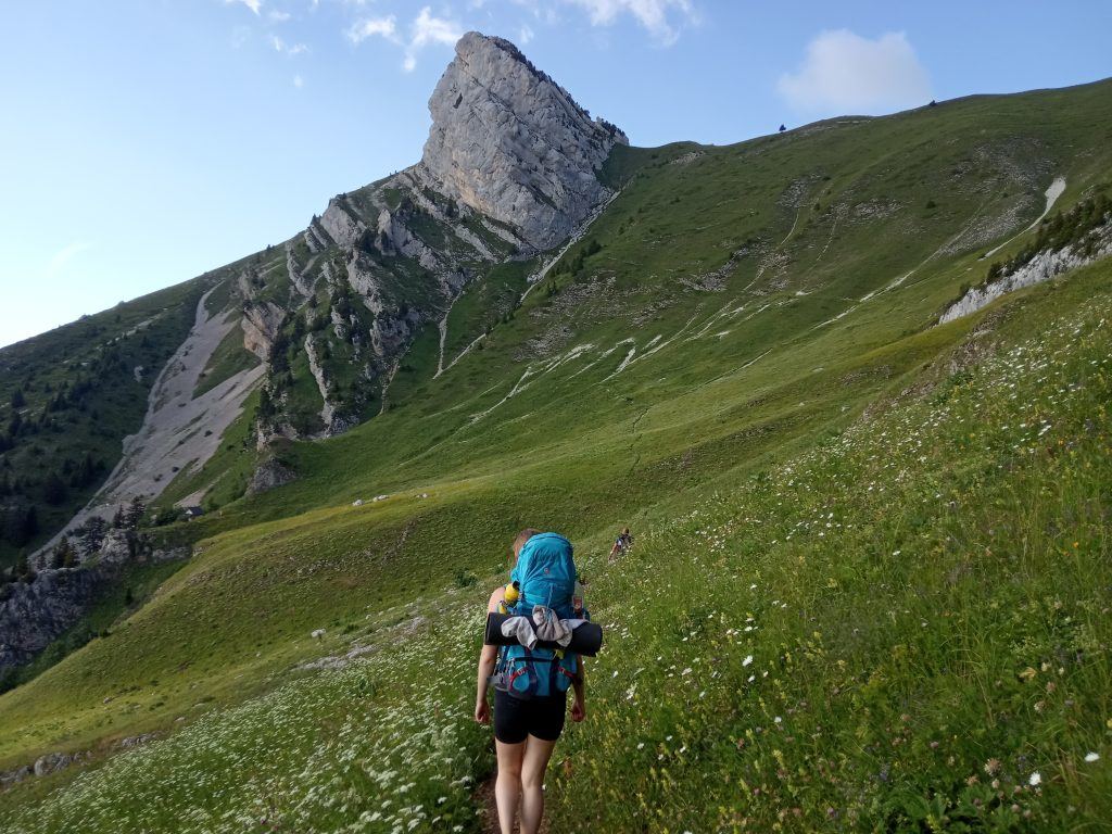 Chartreuse_Blog4