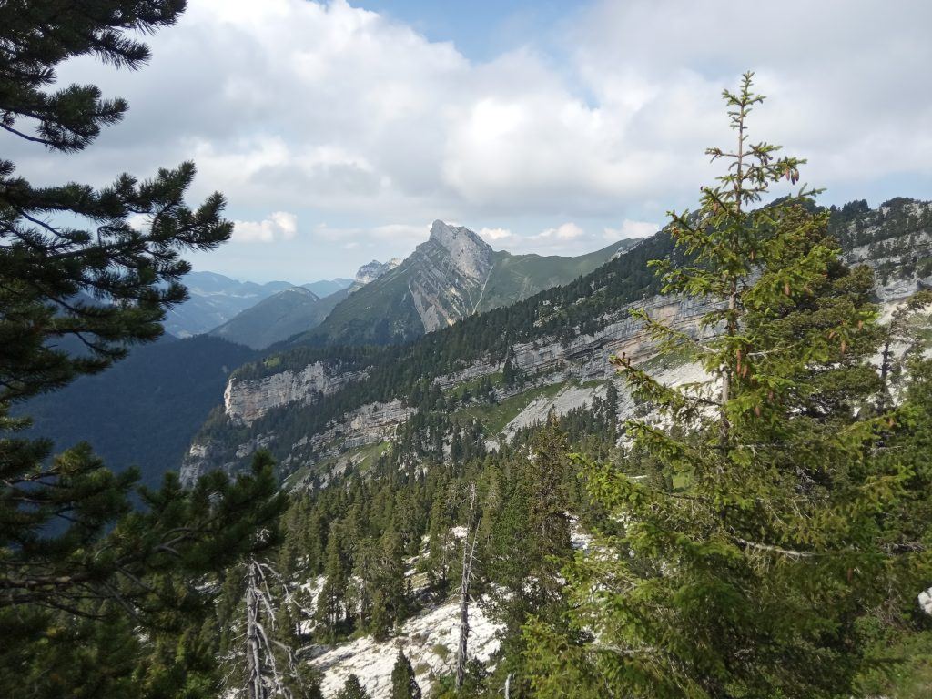 Chartreuse_Blog3