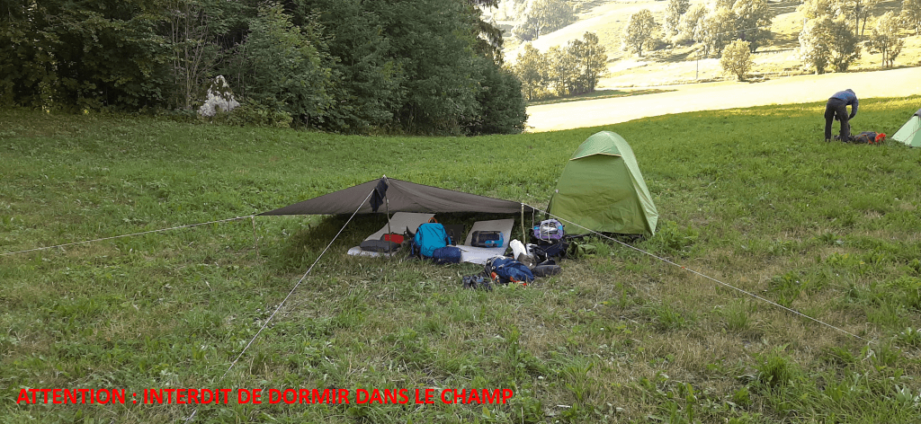 Chartreuse_Blog7
